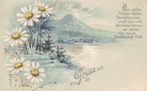B250 Gruss aus Mondschein Landschaft Gänseblümchen Blumen Postkarte