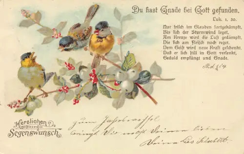 B252 Segensgrüße 1903 Singvögel sitzen auf Ast Vintage Postkarte