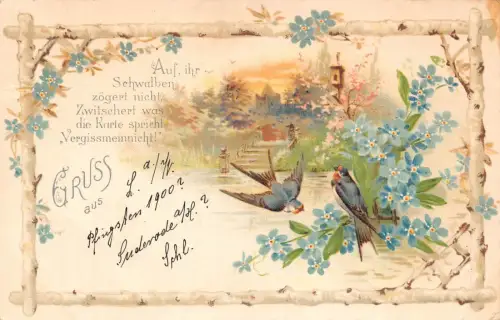 B252 Gruss aus 1900 Schwalbenvögel Vergissmeinnicht Blumenhaus Postkarte