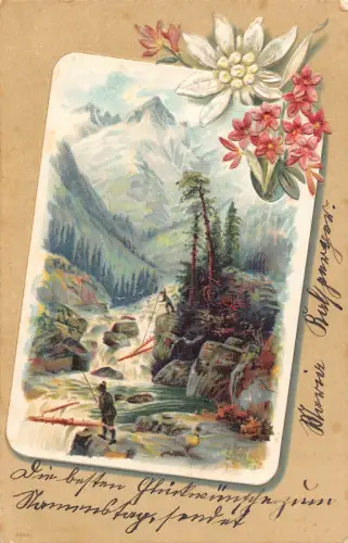 B257 Berglandschaft Passepartout 1902 Edelweiß Blumen Fischer Postkarte