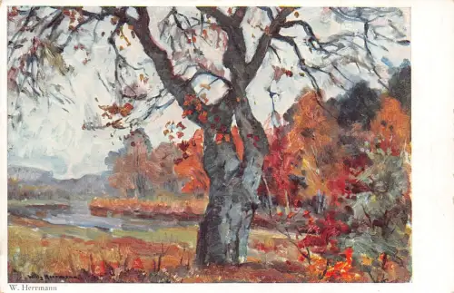W Herrmann Gemälde Reproduktion Herbstszene Nackter Baum Vintage Postkarte