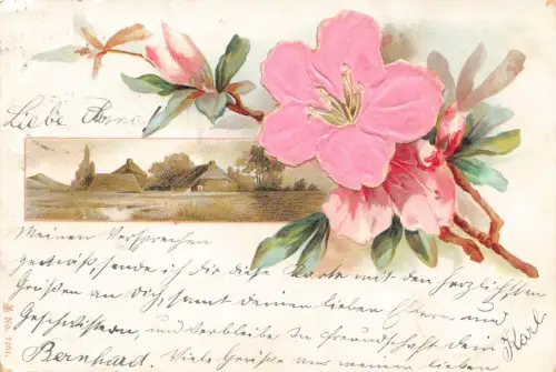 Passepartout Landschaft 1901 Blüte Baum Zweig Blume aus rosa Seide Postkarte