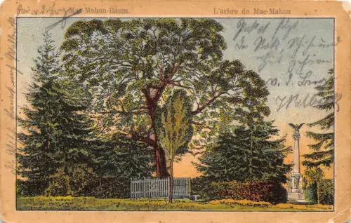Deutschland Mac-Mahon Baum Tree Art Vintage Postkarte