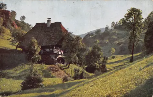 Schwarzwaldhaus bei Waldlandschaft Landschaft, Deutschland Vintage Postkarte
