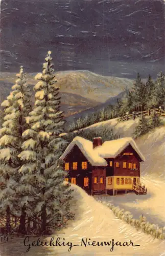 Niederlande 1953 Neujahr Gellukkig Nieuwjaar Haus Kiefer Schnee Postkarte
