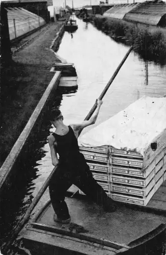 Niederlande Boot Transport Westland Boxen Mann Rudert Zuid Holland Postkarte