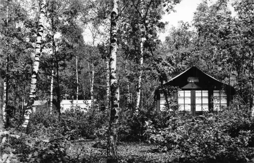 Niederlande 1946 Erholungszentrum Het Grote Bos Hydeparklaan Park Postkarte