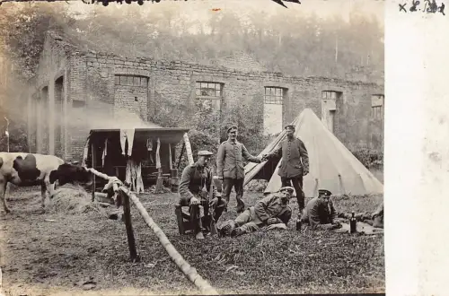 L036 Deutschland 1916 1. Weltkrieg Soldaten Zelt Kuh Echtfoto Feld Postkarte