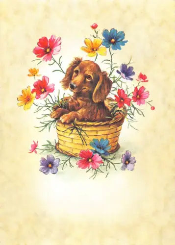 Tiere Cocker Spaniel Rasse Hund Welpe im Blumenkorb Postkarte B724