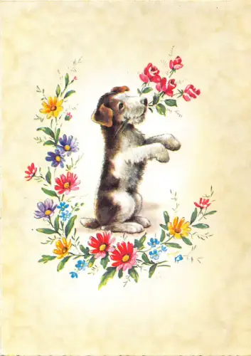 Tiere Terrier Rasse Hund Welpe Blumen Rosen Postkarte B724