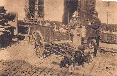 L258 Belgien BELGIEN Lastière Flamande (Contra Cardion) Vintage Postkarte