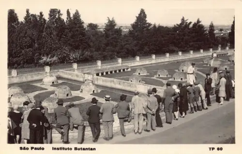 L250 Brasilien São Paulo Instituto Butantan Vintage Postkarte