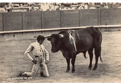 L044 Spanien Corrida de Toros Stierkampf Echtfoto Postkarte