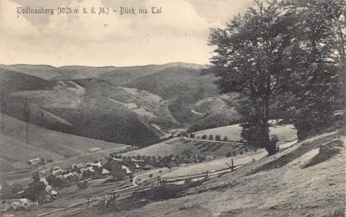 A164 Deutschland 1923 Todtnauberg 1021 m Blick in hoch Vintage Postkarte