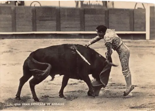 L044 Spanien Corrida de Toros Stierkampf Echtfoto Postkarte