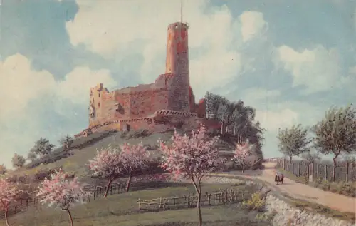 A164 Deutschland 1910 Weinheim Burg Windeck Burgruine Vintage Postkarte