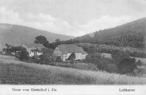 A160 Deutschland 1911 Gruss vom Gimbelhof i Els Luftkurort Vintage Postkarte