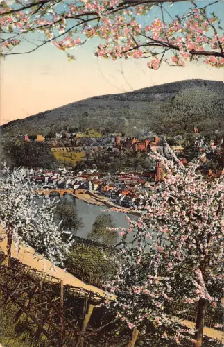 A161 Deutschland 1910 Heidelberg Philosophenweg in Blüte Bäume Vintage Postkarte