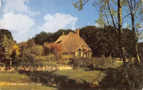 L236 England 1965 A New Forest Cottage House Street Postkarte