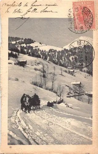 L412 Rumänien 1904 Winterlandschaft Pferdeschlitten Vintage Postkarte