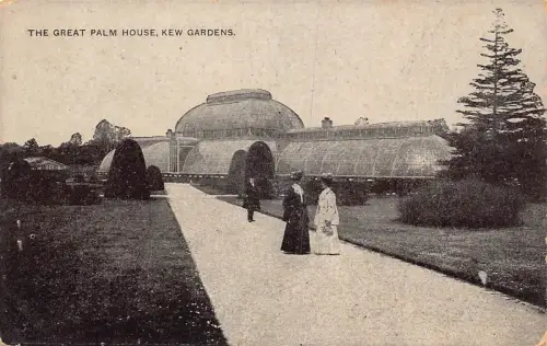 L238 England The Great Palm House Kew Gardens Vintage Postkarte
