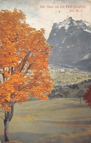 A135 Deutschland 1931 Herbststimmung Herbstbaum Dornharn Vintage Postkarte