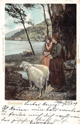 A133 Italien 1899 Contadine Schafe Frau Bauern Hirte Baum Litho Postkarte