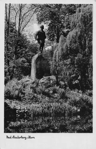 A135 Deutschland Bad Lauterberg im Harz Steinsoldat Vintage Postkarte