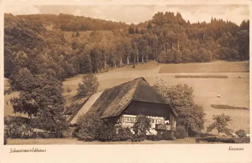 L207 Deutschland Schwarzwaldhaus Schwarzwald Vintage Postkarte