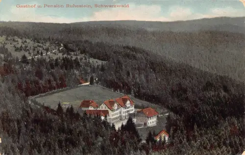 L193 Deutschland 1909 Gasthof Pension Ruhenstein Schwarzwald alte Postkarte