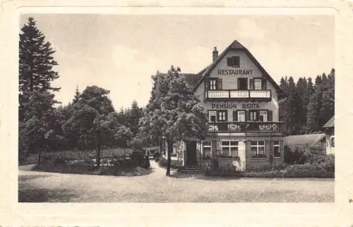 L193 Deutschland Restaurant Pension Berta Höhenluftkurort Zweiselberg AK
