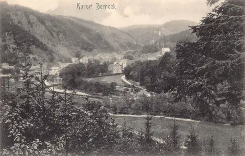 L208 Deutschland Kurort Berneck Wald Landschaft Vintage Postkarte