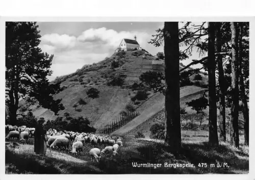 L193 Deutschland 1937 Wurmlinger Bergkapelle Kapelle Schafe Vintage Postkarte