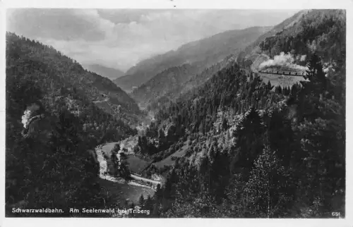 L193 Deutschland 1942 Feldpost WWII Schwarzwaldbahn Seelenwald bei Triberg Postkarte
