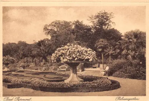 L210 Deutschland Bad Pyrmont Palmengarten Blumen Vintage Postkarte