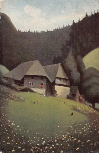 L213 Germany Häuser im Schwarzwald Liederwagen zum Glueck! alte Postkarte