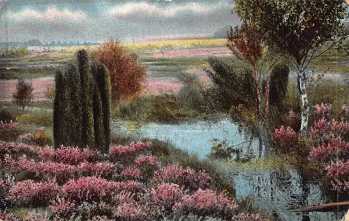 L209 Deutschland 1916 Feldpost 1. Weltkrieg Pfund Landschaft rosa Blumen Bäume Postkarte
