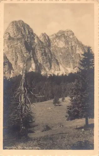 L213 Deutschland Der Aggenstein Pfronten Vintage Postkarte