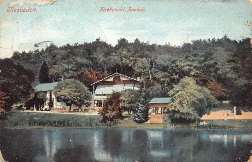 Deutschland 1909 Wiesbaden Fischzucht Anstalt Fishing Pons Vintage Postkarte