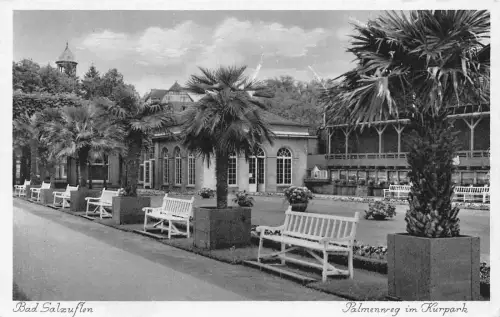 Deutschland Bad Salzuflen Palmengasse Kurpark Bänke Vintage Postkarte