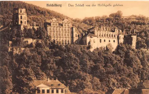Deutschland Heidelberg 1916 Schloss Schloss von Hirschgasse 1. Weltkrieg Feldpostkarte