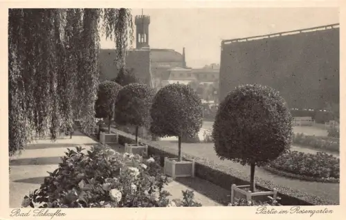 Deutschland Bad Salzuflen Rosengartenansicht Vintage Postkarte