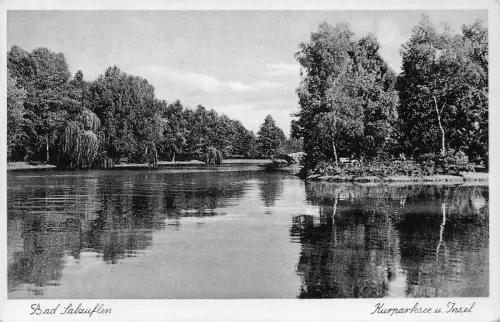 Deutschland Bad Salzuflen kurparksee Insel Seepark Vintage Postkarte
