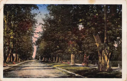 Ukraine Stanisławów Iwano-Frankiwsk 1918 Feld Vintage Postkarte