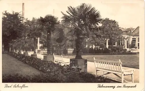 Deutschland Bad Salzuflen Palmenweg im Kurpark Palmenbank RPPC Postkarte