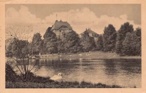 Deutschland Bad Salzuflen 1921 See Liegewiese Schwan Vintage Postkarte
