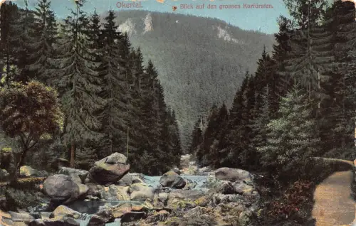 Deutschland 1911 Okertal Blick grossen Kurfürsten Wald Fluss Vintage Postkarte