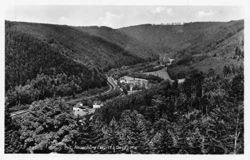 Deutschland Neuenbuerg Das Enztal RPPC Vintage Postkarte