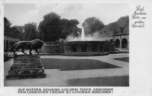 Deutschland Bad Nauhein Partie am Großen Sprudelbrunnen Vintage Postkarte