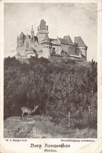 Österreich Burg Kreuzenstein Südansicht Hirsch Vintage Postkarte